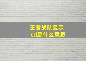 王者战队显示cd是什么意思