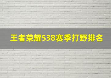 王者荣耀S38赛季打野排名