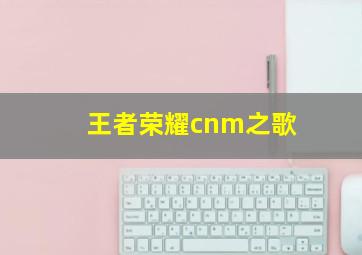 王者荣耀cnm之歌