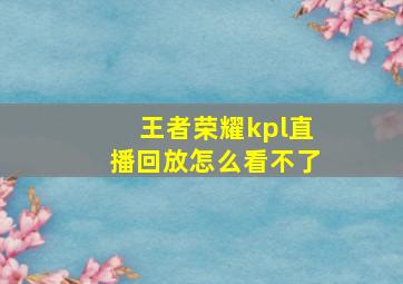 王者荣耀kpl直播回放怎么看不了