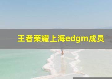 王者荣耀上海edgm成员