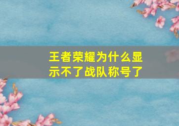 王者荣耀为什么显示不了战队称号了