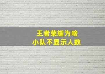 王者荣耀为啥小队不显示人数