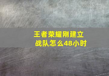 王者荣耀刚建立战队怎么48小时