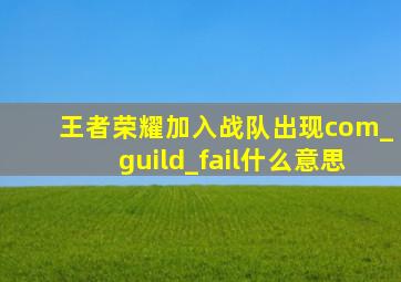 王者荣耀加入战队出现com_guild_fail什么意思