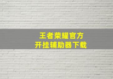 王者荣耀官方开挂辅助器下载