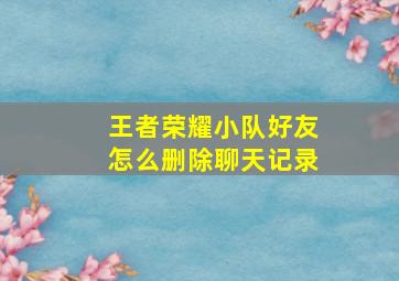 王者荣耀小队好友怎么删除聊天记录