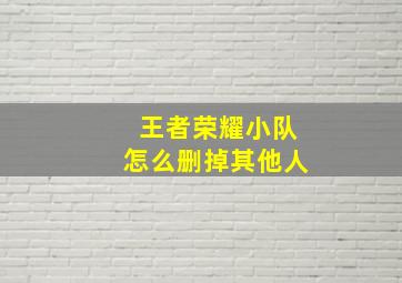 王者荣耀小队怎么删掉其他人