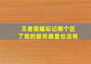 王者荣耀忘记哪个区了我的服务器里也没有