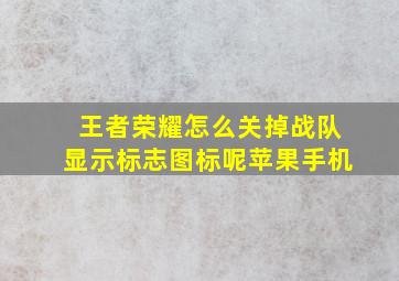 王者荣耀怎么关掉战队显示标志图标呢苹果手机