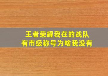 王者荣耀我在的战队有市级称号为啥我没有