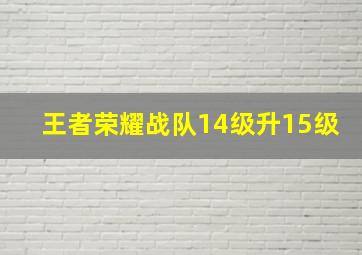 王者荣耀战队14级升15级