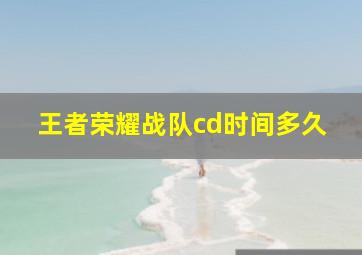 王者荣耀战队cd时间多久