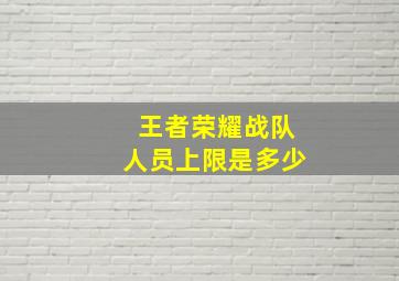 王者荣耀战队人员上限是多少