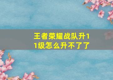 王者荣耀战队升11级怎么升不了了