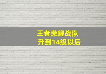 王者荣耀战队升到14级以后