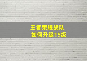 王者荣耀战队如何升级15级