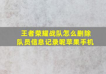 王者荣耀战队怎么删除队员信息记录呢苹果手机