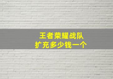 王者荣耀战队扩充多少钱一个