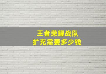 王者荣耀战队扩充需要多少钱