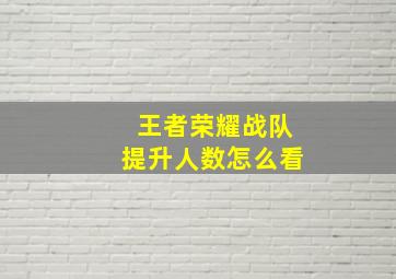 王者荣耀战队提升人数怎么看