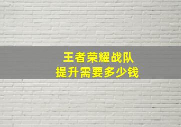 王者荣耀战队提升需要多少钱