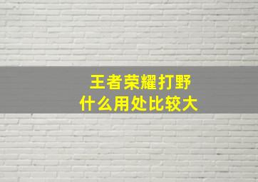 王者荣耀打野什么用处比较大