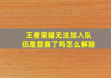 王者荣耀无法加入队伍是禁赛了吗怎么解除