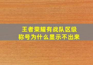 王者荣耀有战队区级称号为什么显示不出来