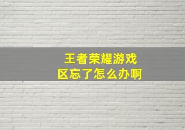 王者荣耀游戏区忘了怎么办啊