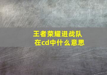 王者荣耀进战队在cd中什么意思