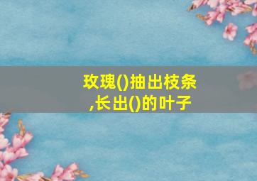 玫瑰()抽出枝条,长出()的叶子