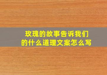 玫瑰的故事告诉我们的什么道理文案怎么写