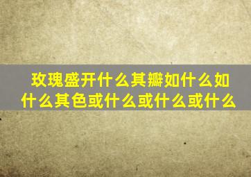 玫瑰盛开什么其瓣如什么如什么其色或什么或什么或什么