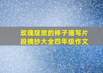 玫瑰绽放的样子描写片段摘抄大全四年级作文