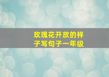 玫瑰花开放的样子写句子一年级