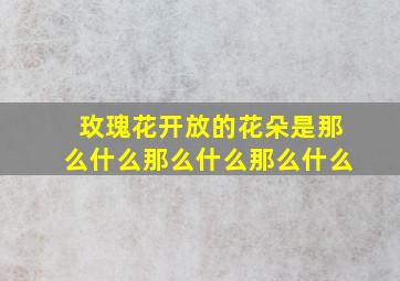 玫瑰花开放的花朵是那么什么那么什么那么什么