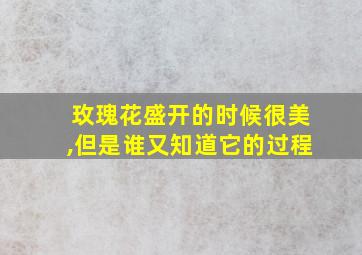 玫瑰花盛开的时候很美,但是谁又知道它的过程