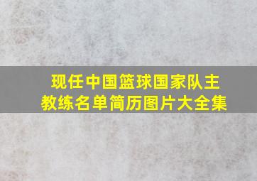 现任中国篮球国家队主教练名单简历图片大全集