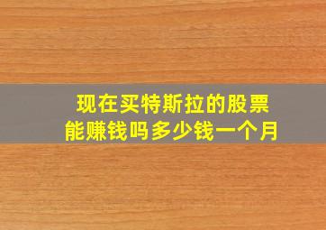 现在买特斯拉的股票能赚钱吗多少钱一个月