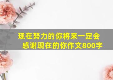 现在努力的你将来一定会感谢现在的你作文800字