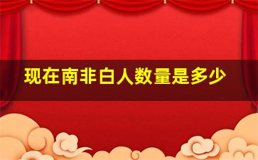 现在南非白人数量是多少