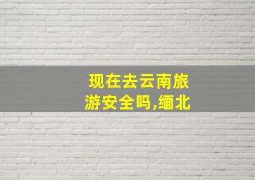 现在去云南旅游安全吗,缅北