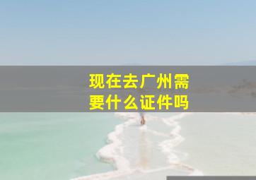 现在去广州需要什么证件吗