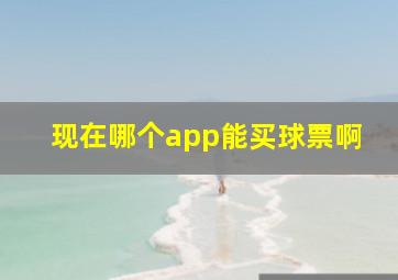 现在哪个app能买球票啊