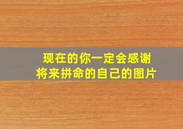 现在的你一定会感谢将来拼命的自己的图片