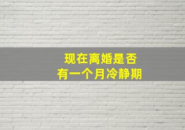 现在离婚是否有一个月冷静期