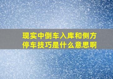 现实中倒车入库和侧方停车技巧是什么意思啊