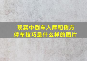 现实中倒车入库和侧方停车技巧是什么样的图片