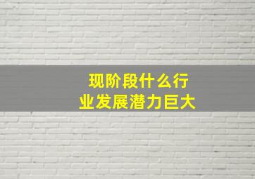 现阶段什么行业发展潜力巨大